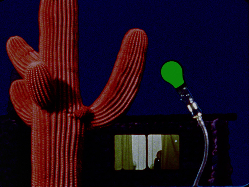 image of a red saguaro cactus next to a green neon light in front of a window
